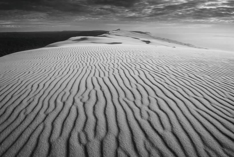 Photo - Dune du Pilat - Dune du Pilat #67